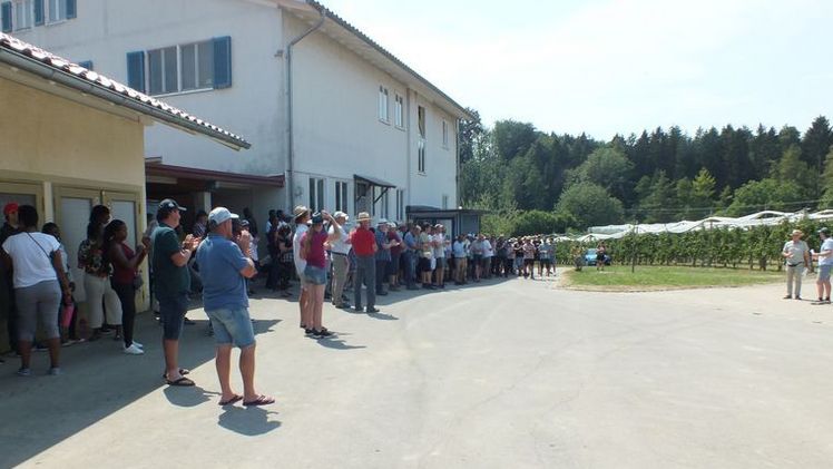 Großer Andrang beim Feldtag in der Versuchsstation für Obstbau Schlachters. Bild: HSWT.