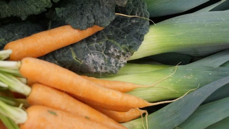 4.219 ha Freilandgemüse in Sachsen-Anhalt. Bild: GABOT.