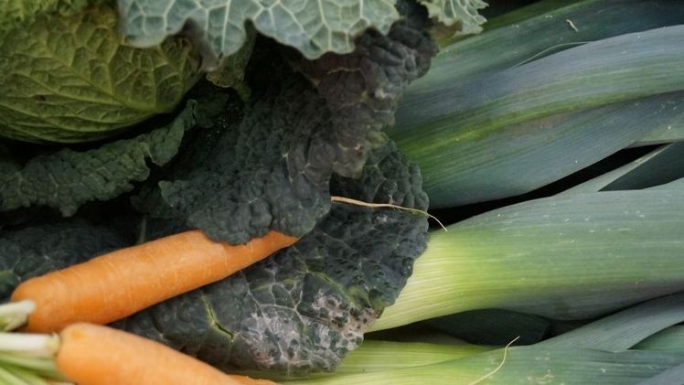 Heimisches Wintergemüse kaum mit Pestiziden belastet. Bild: GABOT.