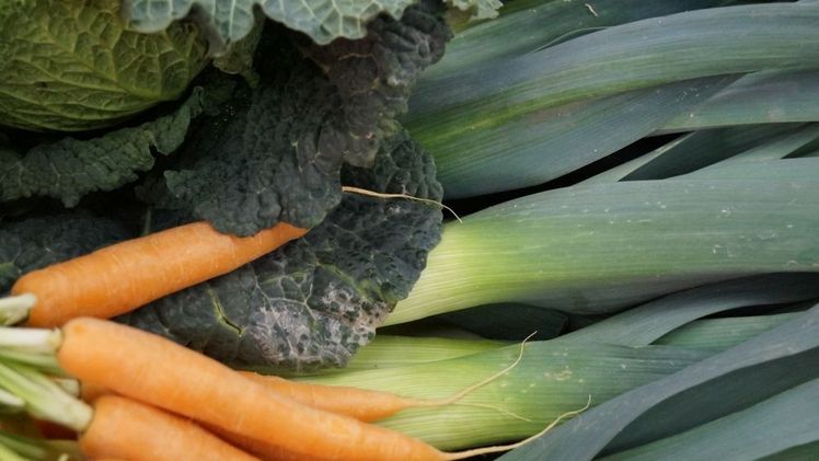 Kohl und Möhren, aber auch der Lauch sind klassische Wintergemüse. Bild: GABOT.