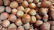 Nüsse und Edel-Pilze stehen für eine gesunde Ernährung. Bild: GABOT.