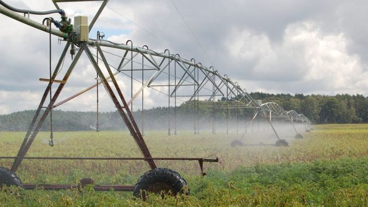 Ohne Bewässerung ist besonders der Anbau von Kartoffeln, Rüben, Zwiebeln und Sonderkulturen unmöglich wirtschaftlich zu bewerkstelligen Foto: Landvolk.