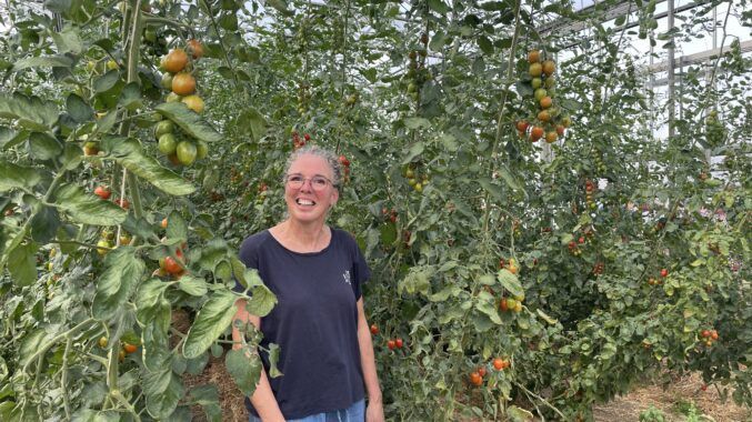 Seit 35 Jahren baut die Bioland-Gärtnerei Kiebitz Gemüse und Obst an, mittlerweile auf 50 Hektar Land und 5.000 Quadratmetern Gewächshäusern. Bild: Landvolk.