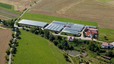 Biolandbetrieb Schlosser Grünerlei GbR. Bild: Schlosser. Biolandbetrieb Schlosser Grünerlei GbR. Bild: Schlosser.