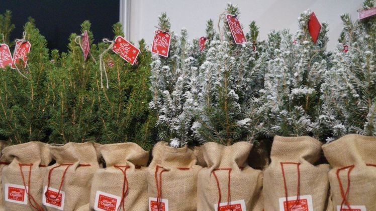 Der aktuelle YouGov-Report zu Weihnachtsgeschenke-Käufern in Deutschland zeigt, dass zwei Drittel gleich viel oder mehr Geld ausgeben wollen. Bild: GABOT.