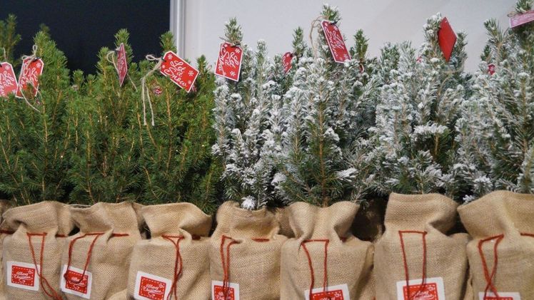 Nachhaltigkeit wird zu einem immer wichtigeren Entscheidungskriterium bei der Wahl der Weihnachtsgeschenke. Bild: GABOT.