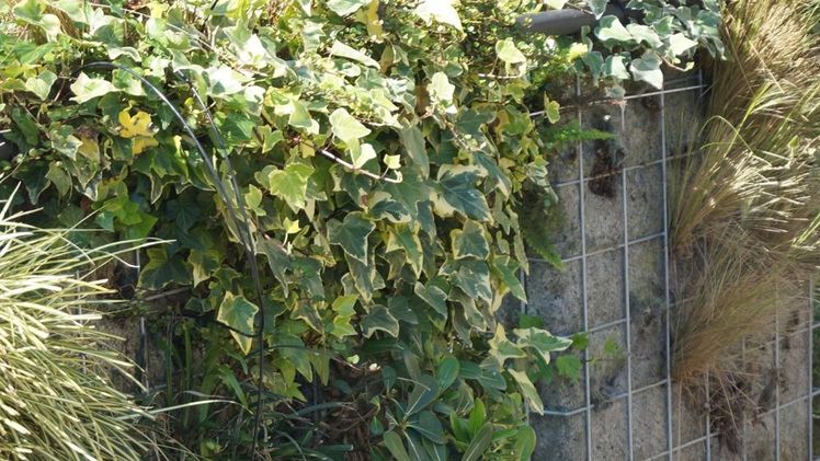 Besonders im urbanen Gartenbau eröffnet Stahl neue Möglichkeiten. Bild: GABOT.