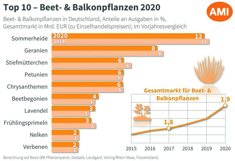 Beet- und Balkonpflanzen 2020. Grafik: AMI im Auftrag des ZVG.