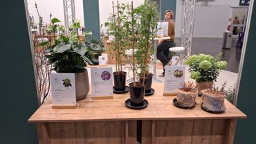 Impressionen von der IPM ESSEN 2026. Bild: GABOT.