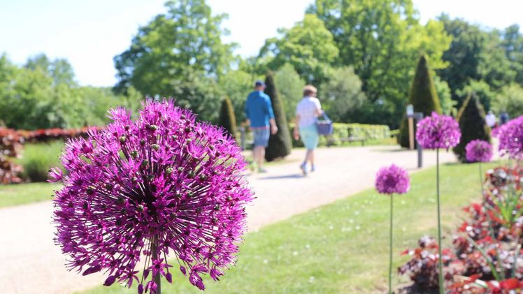 Besucher spazieren im Kamper Gartenreich. Bild: Stefan Büschken. Besucher spazieren im Kamper Gartenreich. Bild: Stefan Büschken.