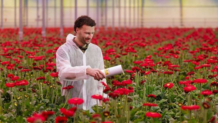 PHYTOcontrol Plus wird ausgebracht. Bild: Royal Binkmann.