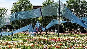 Die achte Hallenschau bei der BUGA Erfurt 2021 wurde vom Landesverband Gartenbau Berlin-Brandenburg e. V. präsentiert. Bild: Gartenbau Berlin-Brandenburg.