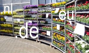 Grüne Internet-Domains zu verkaufen! 