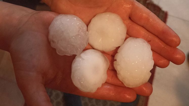 Hagelschlossen in der Größe von Golfbällen. Bild: VEREINIGTE HAGEL.