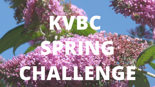 Am 18. Juni findet die KVBC Spring Challenge statt. Bild: KVBC.