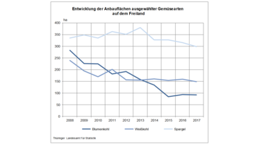 Entwicklung der Anbauflächen ausgewählter Gemüsearten auf dem Freiland. Grafik: Thüringer Landesamt für Statistik.