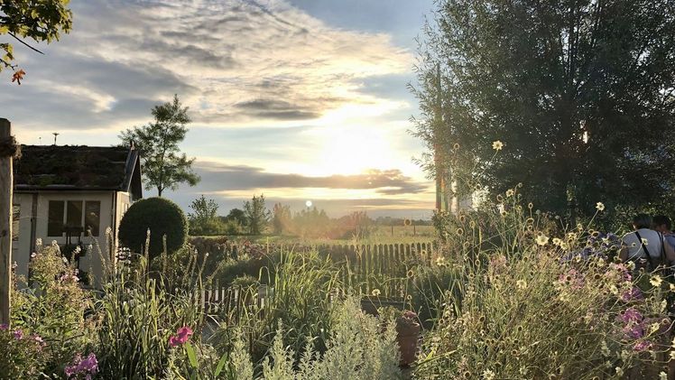 Themengarten auf der Landesgartenschau. Bild: A. Guttschick.