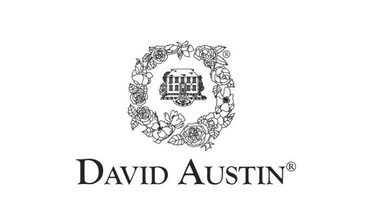 DavidAustin®：バラの特許と商標権に違反した訴訟