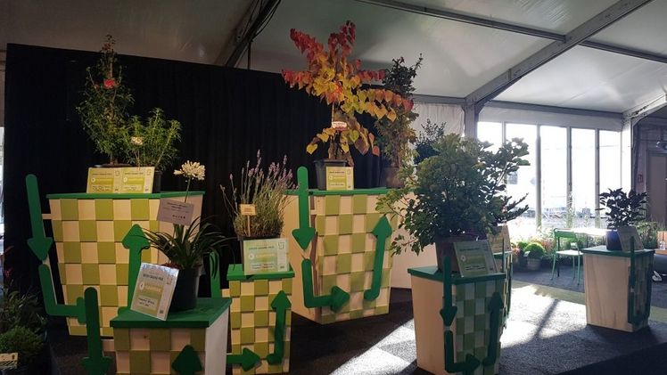 Die Gewinner des GreenGrandPrix 2024. Bild: GABOT. Die Gewinner des GreenGrandPrix 2024. Bild: GABOT.