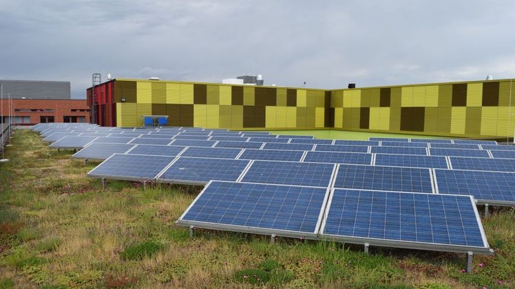 Solar-Gründach. Klimaschutz und Klimawandelanpassung vereint. Bild: Bundesverband GebäudeGrün.