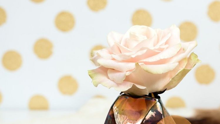 Die berühmte Rosenfamilie Avalanche+® begrüßt einen Neuzugang: 'Adore Avalanche+®'. Bild: Dümmen Orange.