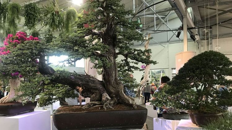 Blick in die Halle. Bild: © Deutsche Bundesgartenschau-Gesellschaft mbH.