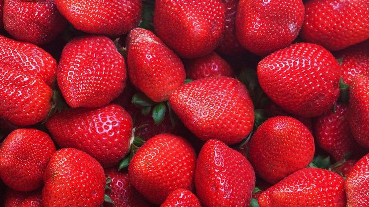 Int. Erdbeer-Sympossium: Neuer Termin in 2021. Bild: fruitecom.