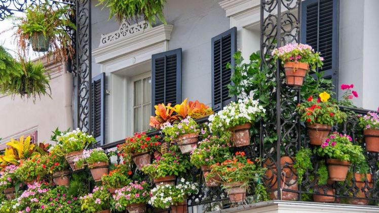 Balkon und Garten gut versorgt. Bild: WUXAL. 