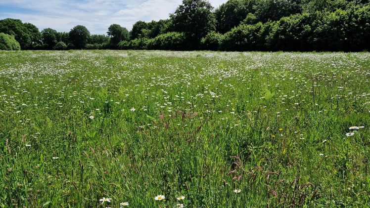 Strukturdaten 2023 bestätigen Öko-Trend. Bild: GABOT.