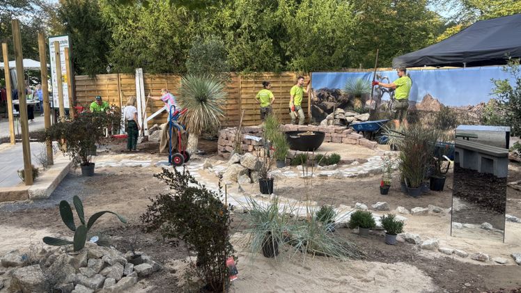 Der diesjährige Schaugarten der Philipp-Holzmann-Schule trägt den Titel "Wüstengarten im Joshua-Tree National Park", inspiriert von dem diesjährigen Sonderthemas des Fürstlichen Gartenfests auf Schloss Wolfsgarten. Bild: © Hessische Hausstiftung.