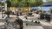 Der diesjährige Schaugarten der Philipp-Holzmann-Schule trägt den Titel "Wüstengarten im Joshua-Tree National Park", inspiriert von dem diesjährigen Sonderthemas des Fürstlichen Gartenfests auf Schloss Wolfsgarten. Bild: © Hessische Hausstiftung.