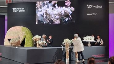 "My Decor" auf der Myplant & Garden 2026. Bild: GABOT.