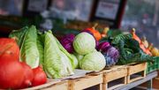 Wie gut es um die Warenverfügbarkeit bei Obst und Gemüse steht hängt unter anderem davon ab, wie lang der Anbauzyklus ist, so Markus Bobenhausen. Bild: REWE.