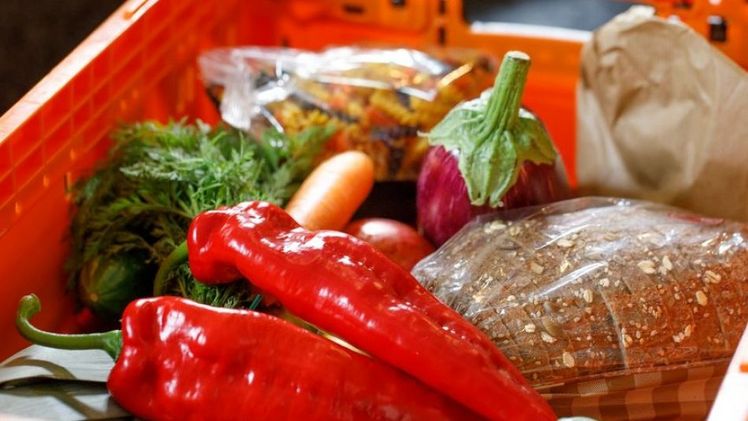 Das Gemüsezüchtungsunternehmen Rijk Zwaan investiert in Gemüsesorten, die auf neuen Bedürfnisse abgestimmt sind. Bild: Rijk Zwaan.