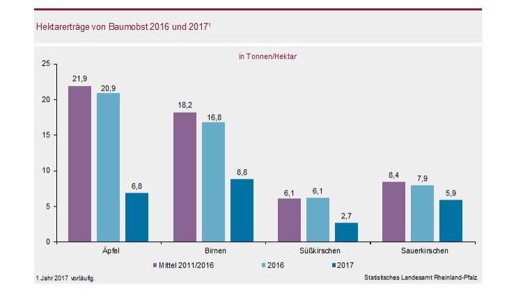 Hektarerträge von Baumobst 2016 und 2017. Grafik: Statistisches Landesamt Rheinland-Pfalz. Hektarerträge von Baumobst 2016 und 2017. Grafik: Statistisches Landesamt Rheinland-Pfalz.