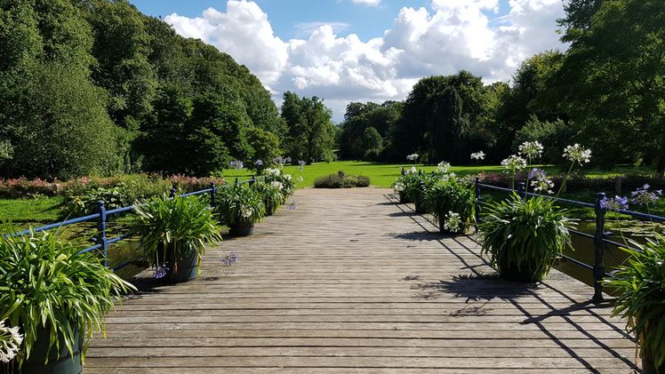 Auerbach und Rodewisch erhalten Zuschlag für die Landesgartenschau 2029. Bild: GABOT. 