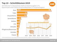 Top 10 Schnittblumen 2019. Grafik: AMI.