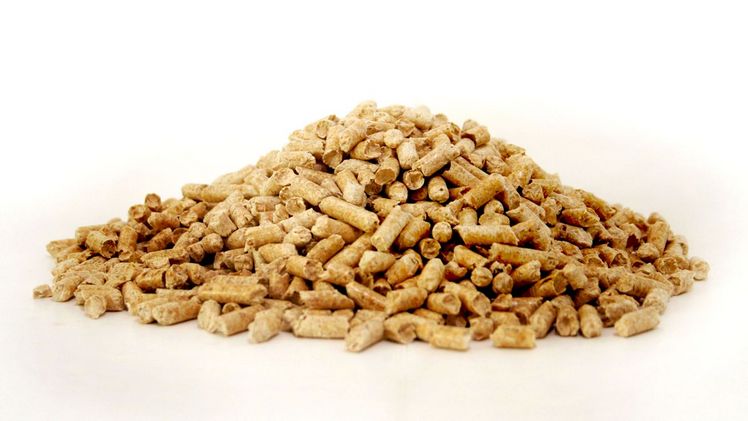 Sinnvolle Holzverwendung braucht kein Ordnungsrecht. Bild: DEPV. Sinnvolle Holzverwendung braucht kein Ordnungsrecht. Bild: DEPV.