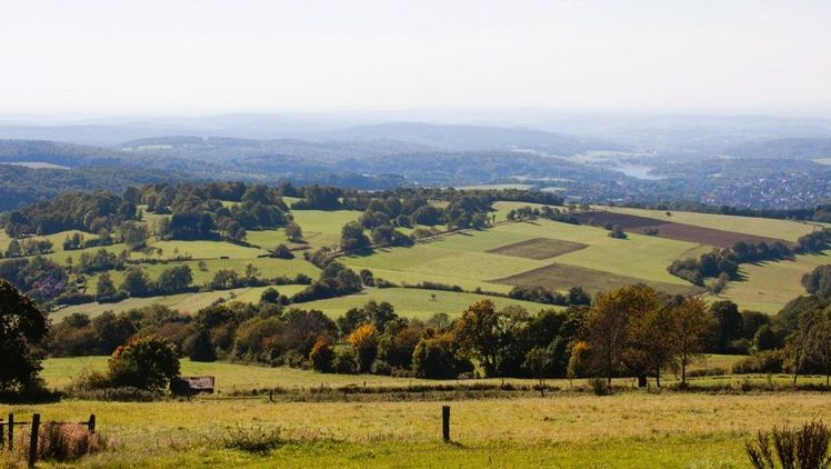 Oberhessen wird zum Reallabor. Die Einflüsse der Landesgartenschau werden wissenschaftlich untersucht? Bild: Christian Renner.
