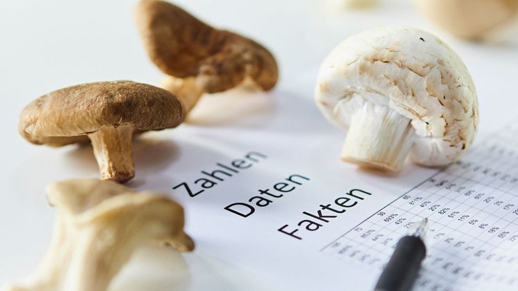 Ein höherer Verbrauch von Champignons pro Person und mehr Edelpilze wie Shiitake aus deutscher Produktion – das ist das Fazit aus den aktuellen statistischen Daten für 2023 und 2024. Bild: GMH/BDC.