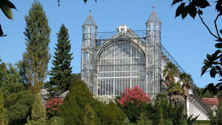 Das Mittelmeerhaus im Botanischen Garten Berlin – Publikumsmagnet und historisches Baudenkmal. Bild: © Botanischer Garten Berlin, I. Haas.