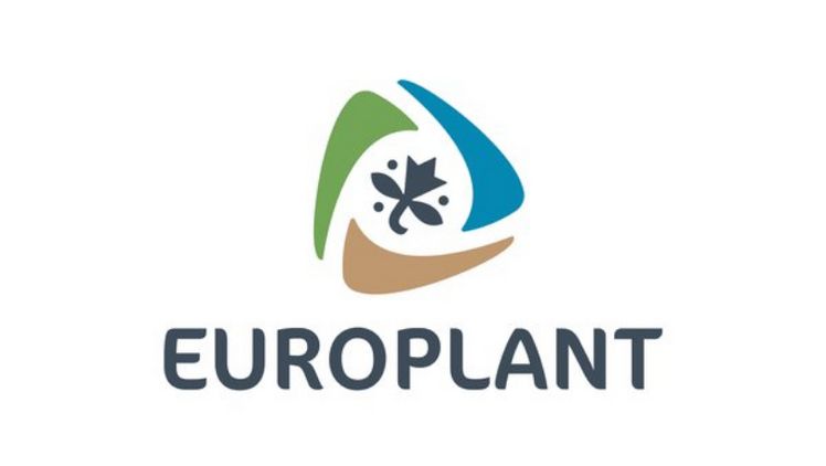 EUROPLANT baut Marktpräsenz im Mittelmeerraum aus. Bild: EUROPLANT. 