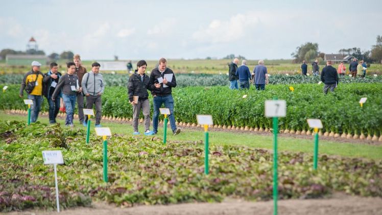 Die Bejo Open Days finden von Dienstag, 22. September, bis Freitag, 25. September 2026 statt. Bild: Bejo.