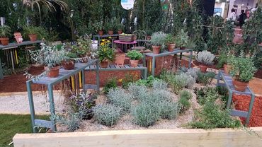 Impressionen vom Coeur Végétal. Bild: GABOT. Impressionen vom Coeur Végétal. Bild: GABOT.