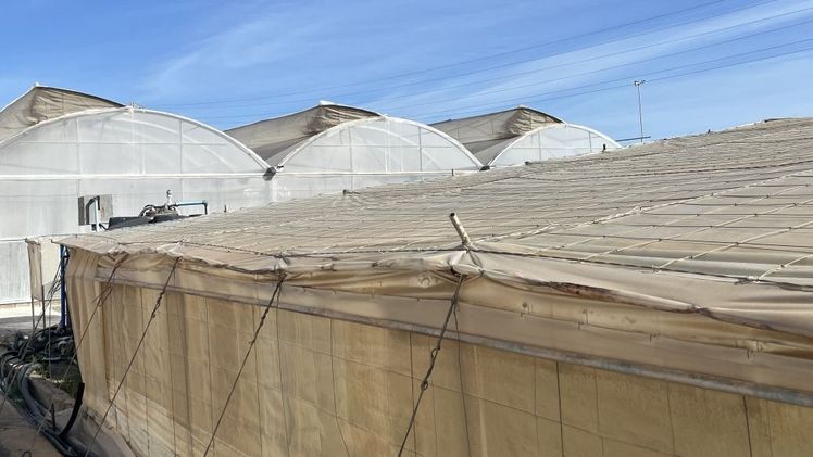 Im Winter fürs Gemüse Nordeuropas zuständig. Bild: David Eppenberger, lid.