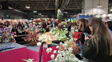 "My Decor" auf der Myplant & Garden 2026. Bild: GABOT.