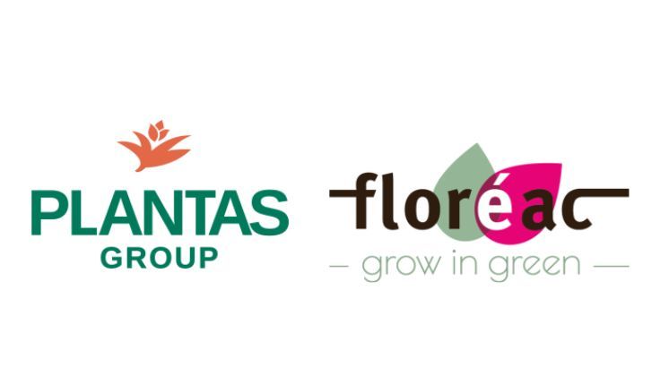 Floréac und die Plantas Group verstärken ihre Zusammenarbeit, um das Sortiment und die Widerstandsfähigkeit der Branche zu verbessern. 