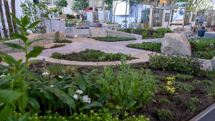 Garten 2023 - Kostbarkeit Gaertnerhof Jeutter. Bild: Petra Reidel. Garten 2023 - Kostbarkeit Gaertnerhof Jeutter. Bild: Petra Reidel.