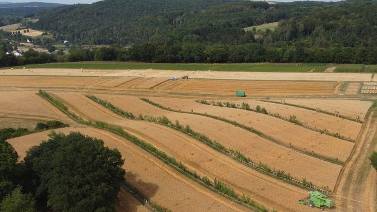 Die hessischen Mittelgebirge stehen im Fokus des Reallabors mit Gießener Beteiligung. Bild: Michael Hauschild.