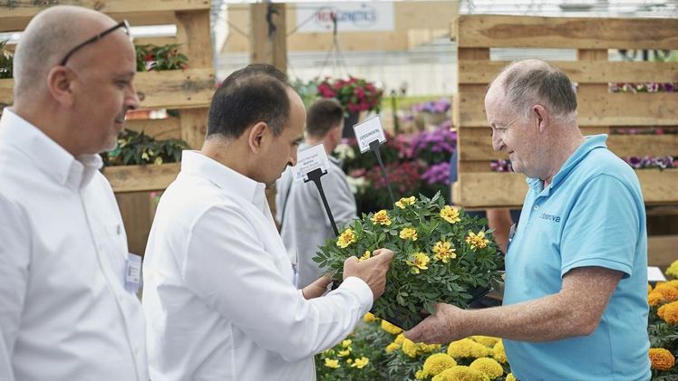 Die FlowerTrials® finden wieder in Woche 24 in drei Regionen statt. Das Event ist ein Muss für Profis aus der grünen Branche. Bild: FlowerTrials®.